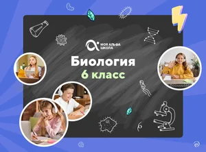 Онлайн-занятия с репетитором по биологии. 6 класс