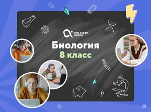 Онлайн-занятия с репетитором по биологии. 8 класс