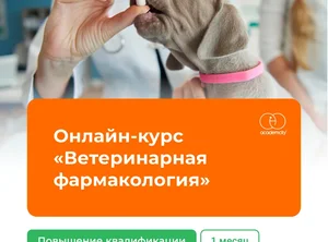 Онлайн-курс Ветеринарная фармакология