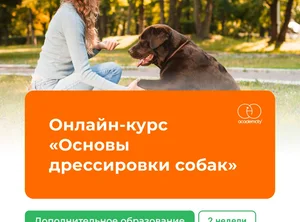 Онлайн-курс Основы дрессировки собак. 2 недели