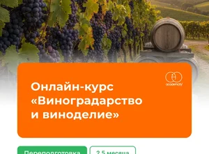 Онлайн-курс Виноградарство и виноделие