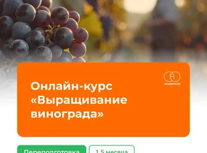 Онлайн-курс Выращивание винограда
