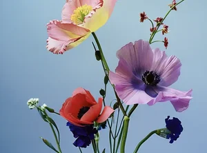Флористика с нуля