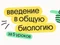 Введение в общую биологию за 5 уроков
